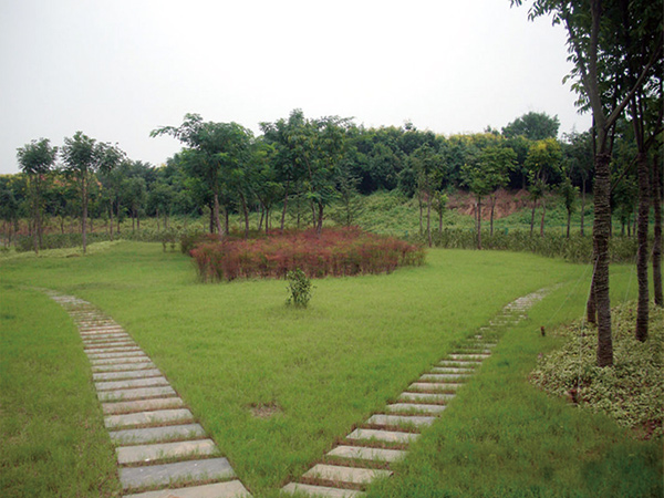 竹林增壓站室外景觀綠化項目